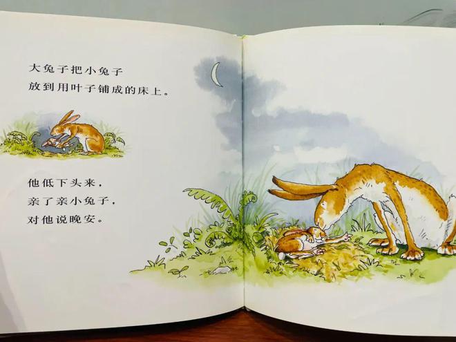 推荐给孩子的书系买球软件列:来和孩子玩一场关于爱的表达的游戏。(图7) 推荐给孩子的书系买球软件列:来和孩子玩一场关于爱的表达的游戏。(图7)